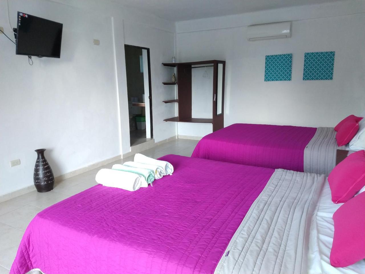 Hotel Espana 切图马尔 外观 照片